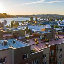 Illumina Apartment Homes in Seattle, WA - Building Photo - Building Photo