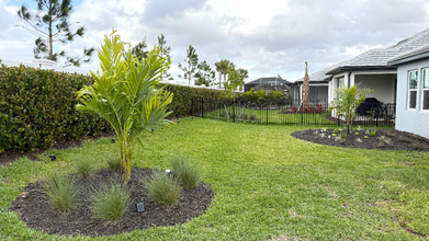 17534 Savory Mist Cir in Lakewood Ranch, FL - Building Photo - Building Photo