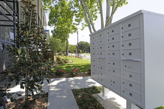 Munger Court in Dallas, TX - Foto de edificio - Building Photo