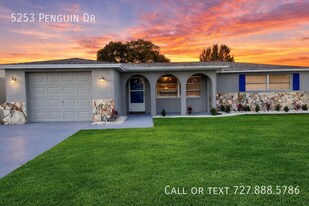 5253 Penguin Dr in Holiday, FL - Building Photo