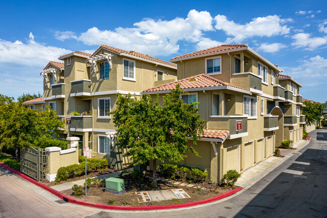 Aviare in Cupertino, CA - Foto de edificio - Building Photo