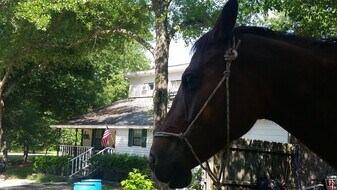 331 Glenwood Dr in Warrenville, SC - Building Photo