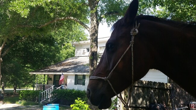 property at 331 Glenwood Dr