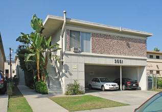 3551 Jasmine Ave in Los Angeles, CA - Building Photo - Other