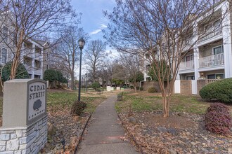 244 S Cedar St, Unit 1 in Charlotte, NC - Building Photo - Building Photo