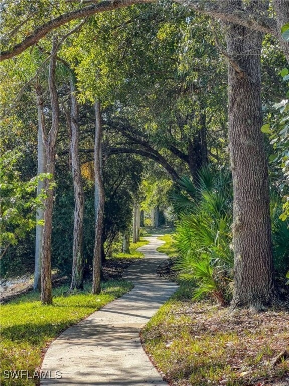 property at 6813 Satinleaf Rd S