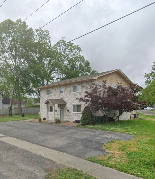 113 E Apple St in Freeburg, IL - Building Photo - Building Photo