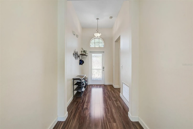 13818 Chalk Hill Pl in Riverview, FL - Building Photo - Building Photo