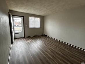 407 E Embert Pl in Peoria, IL - Building Photo - Building Photo