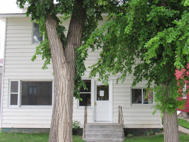 217 Central Ave S in Valley City, ND - Building Photo - Building Photo