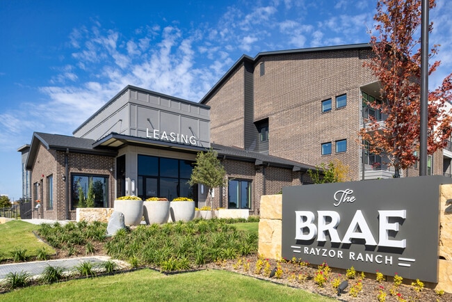 The Brae