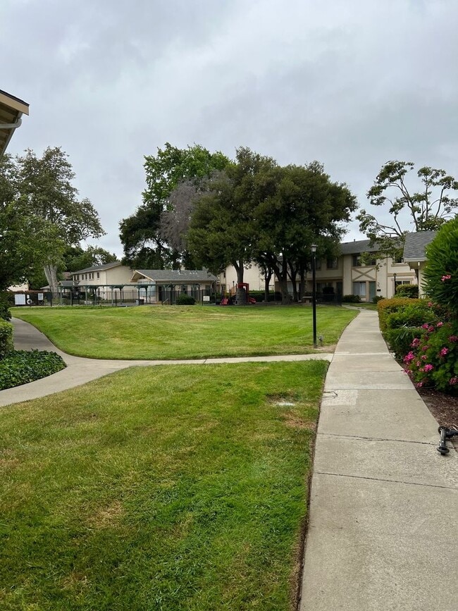 38593 Royal Ann Common in Fremont, CA - Building Photo - Building Photo