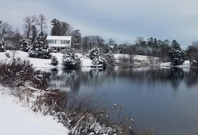 5225 Ruritan Lake Rd in Palmyra, VA - Building Photo - Building Photo