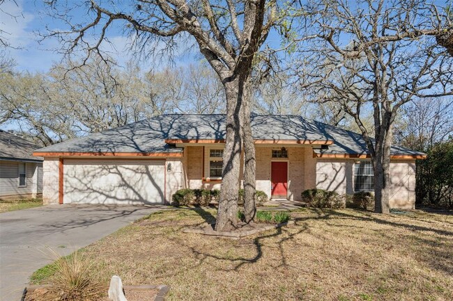 1007 Garden View Dr in Georgetown, TX - Building Photo - Building Photo