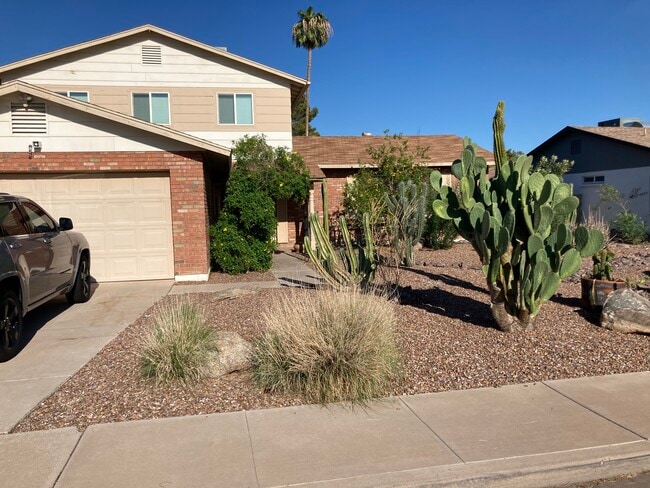2715 S Cottonwood in Mesa, AZ - Foto de edificio - Building Photo