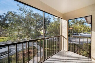 3377 Crystal Ct E in Palm Harbor, FL - Building Photo - Building Photo