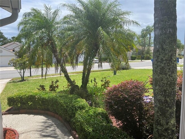 3207 Banyan Hill Ln in Land O Lakes, FL - Building Photo - Building Photo
