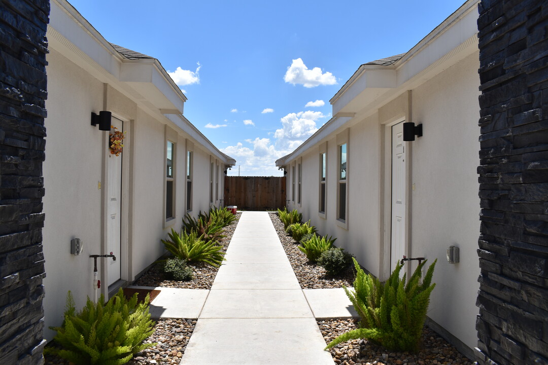 2010 Summerland Ln, Unit 2 in Edinburg, TX - Building Photo