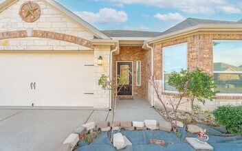 437 Lipizzan Ln in Celina, TX - Foto de edificio - Building Photo