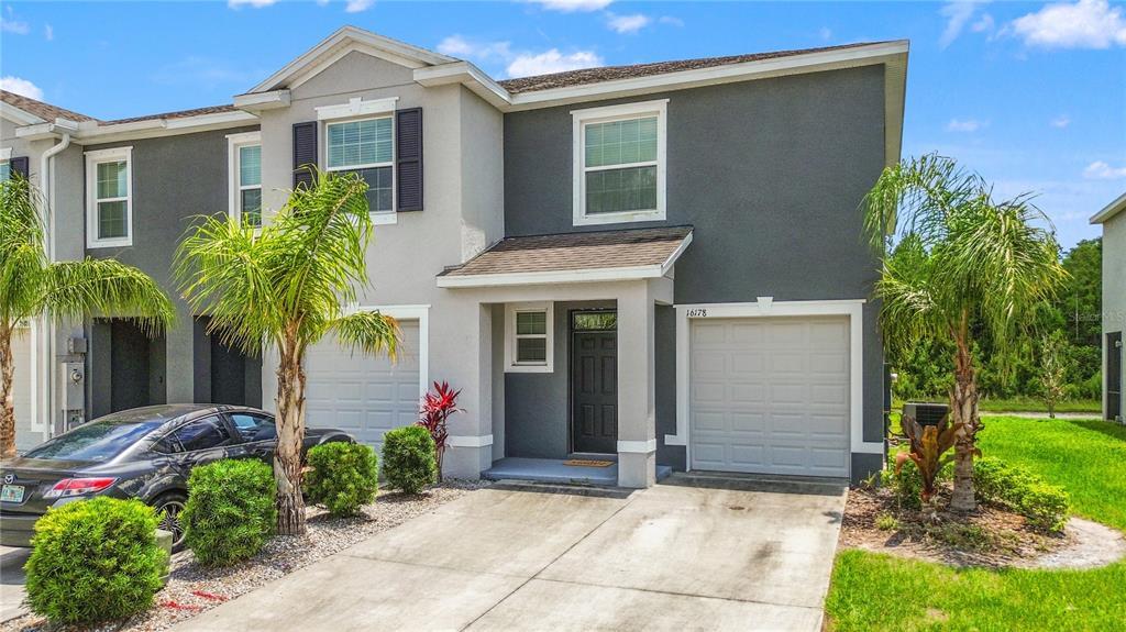 16178 Traditional Bluff Pl in Odessa, FL - Building Photo