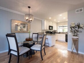 3146 Vista Grande in Carlsbad, CA - Building Photo - Building Photo