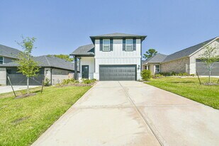 19568 Stripe Hl Bnd in Montgomery, TX - Building Photo