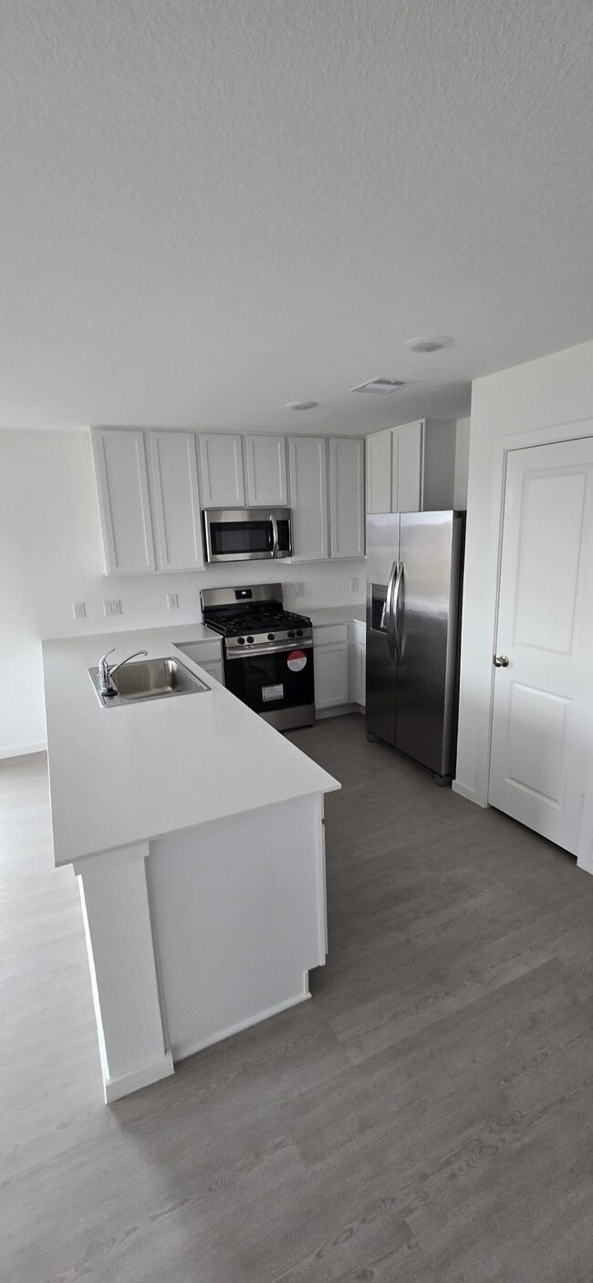 26523 Pampas Grass Ln in Katy, TX - Building Photo - Building Photo