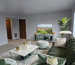 260 E Rimini Ct in Palatine, IL - Building Photo - Building Photo