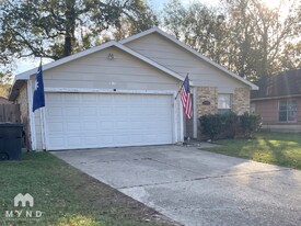 8730 Valley Pond Ct in Houston, TX - Building Photo