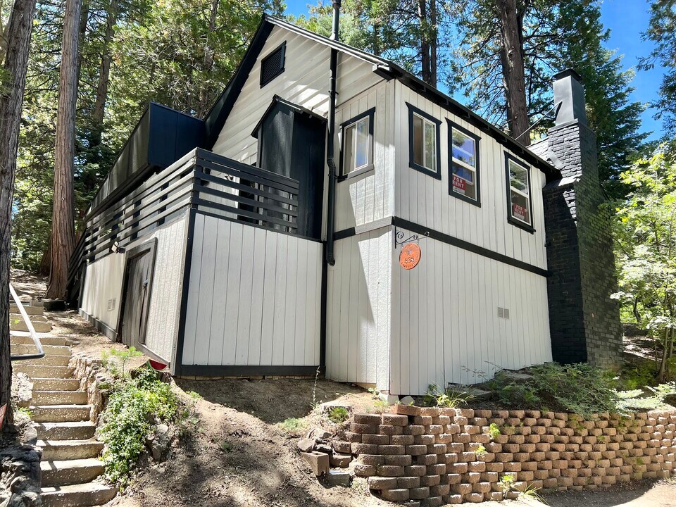 838 Lakeview Ln in Lake Arrowhead, CA - Foto de edificio