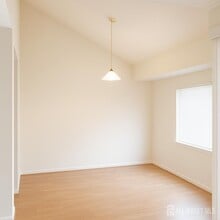 3705 Royce Ct in Hillsborough Township, NJ - Building Photo - Building Photo