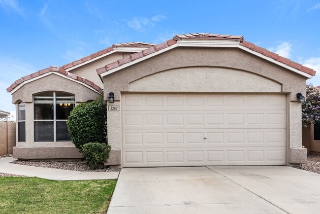 property at 2267 E Arabian Dr