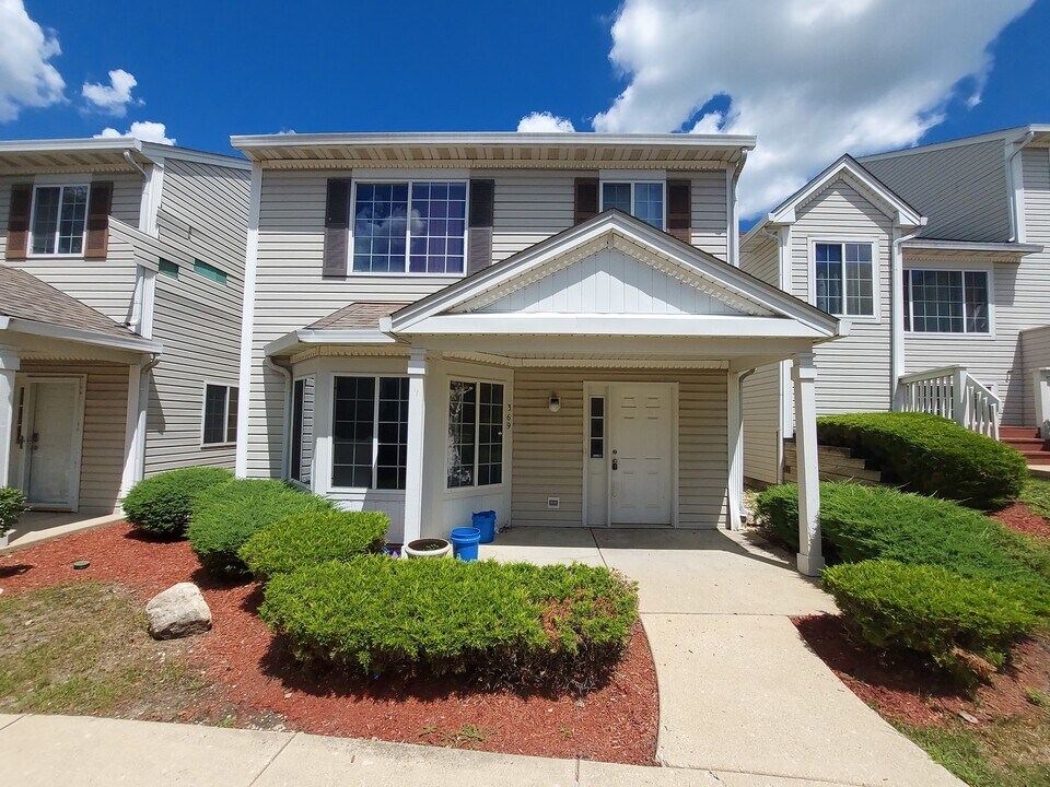 369 Springmist Ct in Bolingbrook, IL - Building Photo