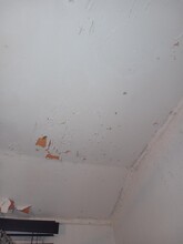 83 Chem. du Pouvoir in Edmundston, NB - Building Photo - Building Photo