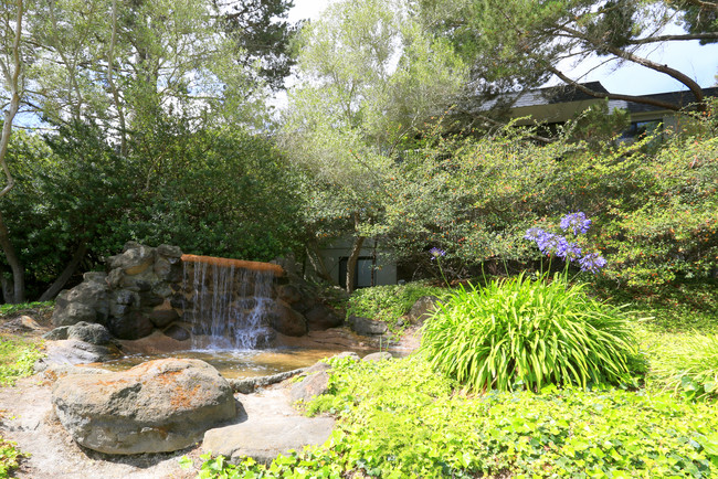 Shelter Creek in San Bruno, CA - Foto de edificio - Building Photo