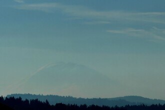 8479 NE Woodland Cove Dr in Kirkland, WA - Building Photo - Building Photo