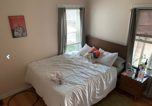20 Carson St, Unit #2 in Boston, MA - Building Photo - Building Photo