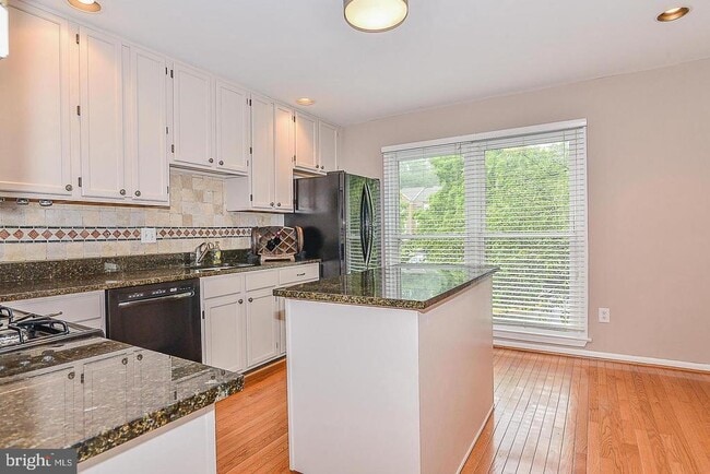14326 Winding Woods Ct in Centreville, VA - Building Photo - Building Photo