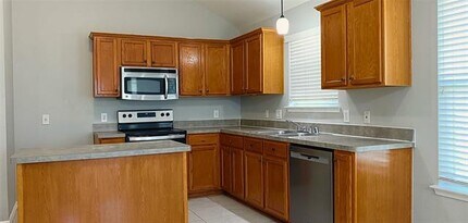 1954 Tawakani Ln in Little Elm, TX - Building Photo - Building Photo