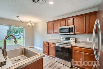 13518 Red Ear Ct in Riverview, FL - Building Photo - Building Photo
