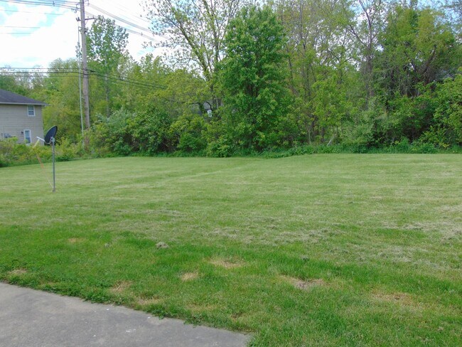 1113 Callie Dr in Columbia, MO - Building Photo - Building Photo