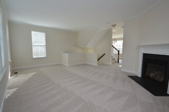 306 Bally Shannon Way in Apex, NC - Building Photo - Building Photo