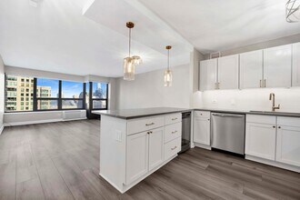 30 E Huron St, Unit 4901 in Chicago, IL - Building Photo - Building Photo