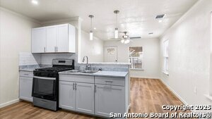 338 N San Horacio Ave in San Antonio, TX - Building Photo - Building Photo