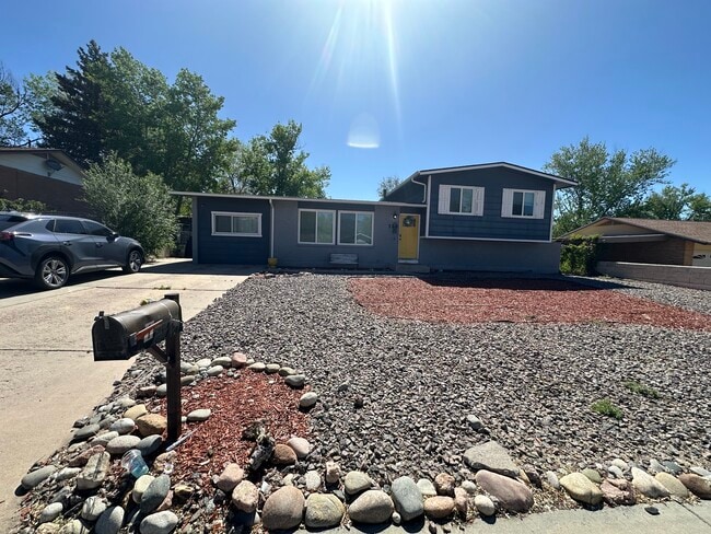 113 Harvard St in Colorado Springs, CO - Building Photo - Building Photo