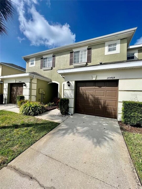 20464 Needletree Dr in Tampa, FL - Building Photo