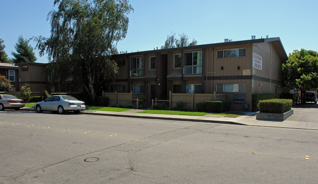 Village View Aparments