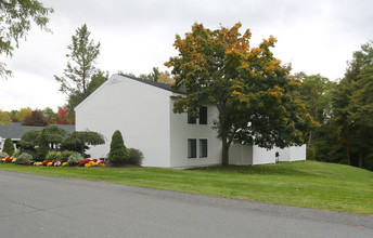 Brandywine Apartments in Guilderland, NY - Building Photo - Building Photo