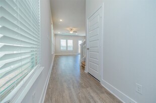 4417 Ibiza Ln in Houston, TX - Building Photo