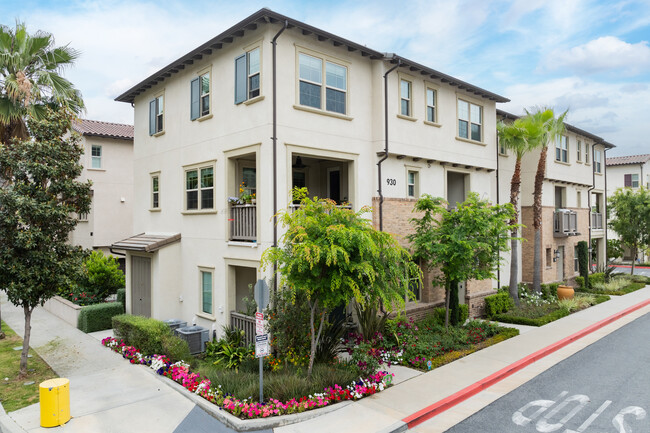 Citrus + Palm in Azusa, CA - Foto de edificio - Building Photo